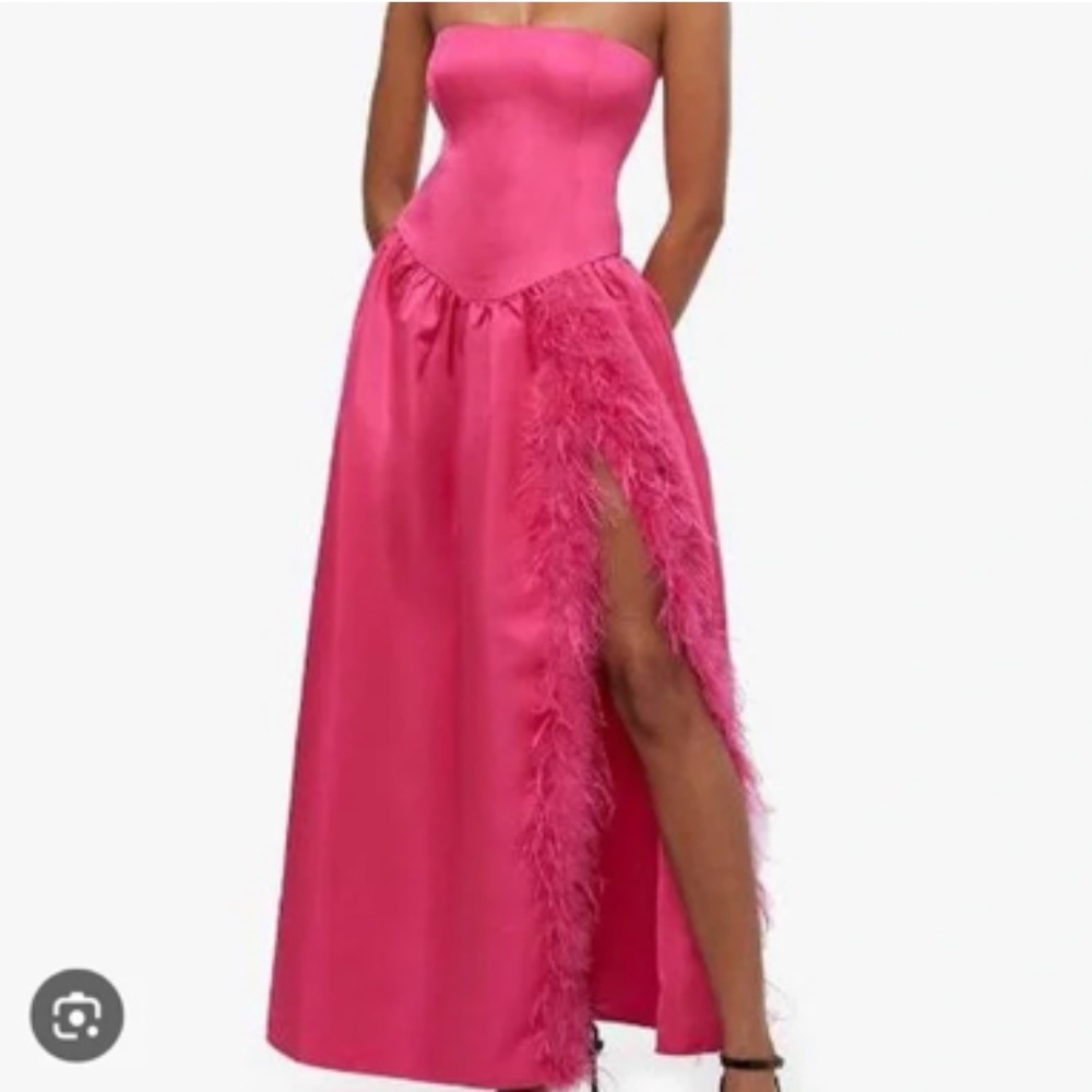 WeWoreWhat Corset Feather Gown